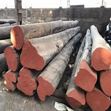 TEAK Timber LOGS.0010.jpg