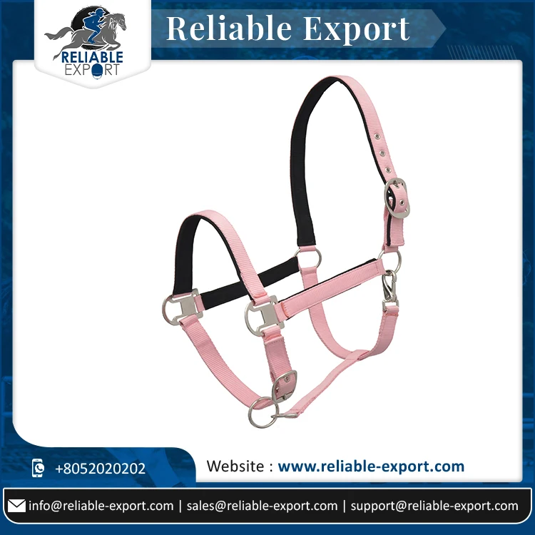 thumbnail.jpg