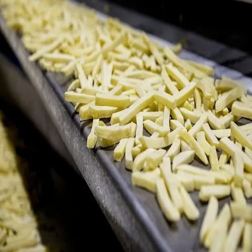frozen french fries 4.jpg