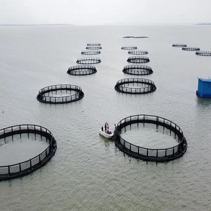 Farming Aquaculture Cage 4.jpg