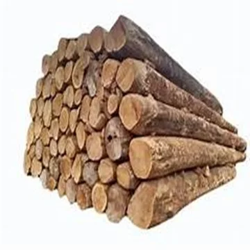 TEAK Timber LOGS.003.jpg