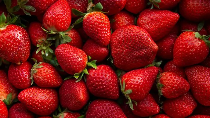 strawberris .jpeg