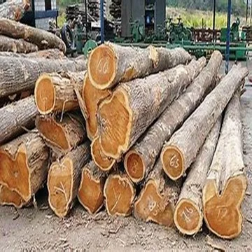 TEAK Timber LOGS.0017.jpg