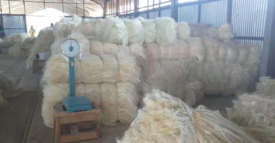 Fiber 1.jpg