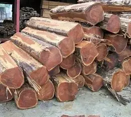 TEAK Timber LOGS.0016.jpg
