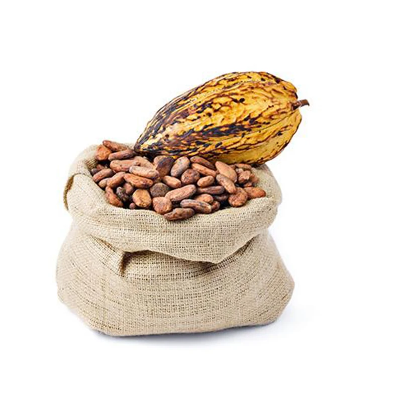 Какао гурманы какао бобы из Германии-программа CacaoTrace