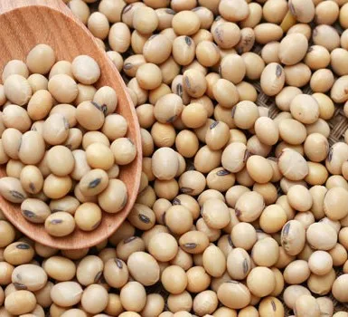 soya-beans-700-350-7995f02.jpg