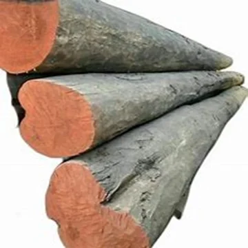 TEAK Timber LOGS.001.jpg