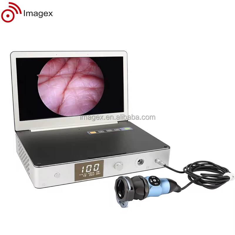 linkview3.jpg