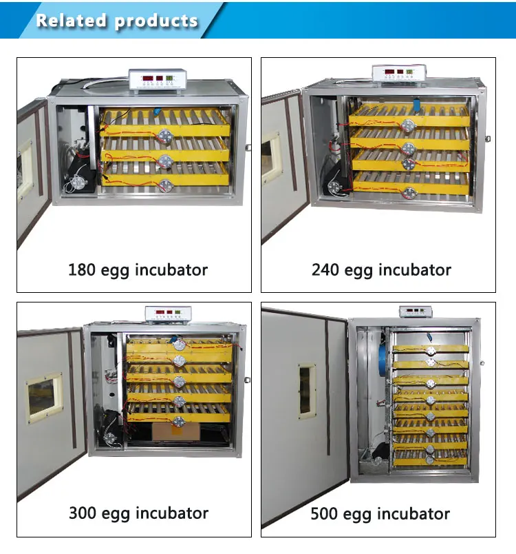 automatic eggs incubators hatching eggs machine