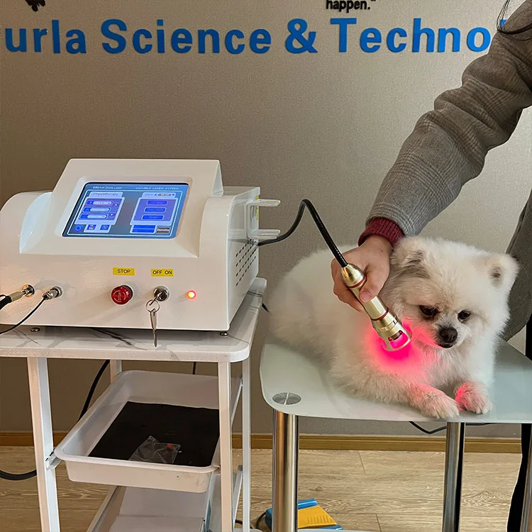 Veterinary laser 750.jpg