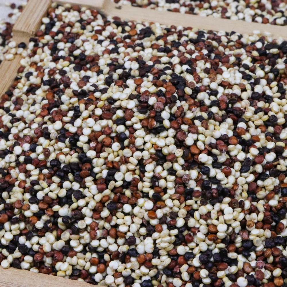 Оптовая продажа, органическое сушеное хиноа quinoa, трехцветное китайское триколор хиноа