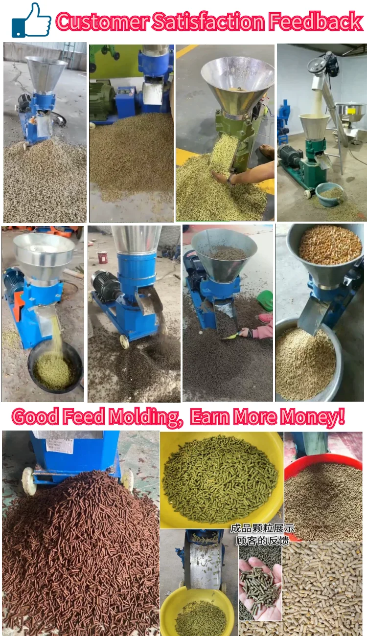 Poultry fish mini animal food pelet chicken feed pellet making press granulator pelletizer peletizadora mill processing machines