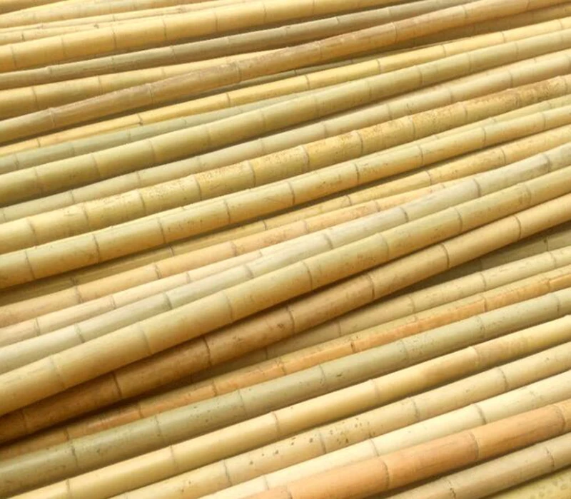 
Сухие обработанные бамбуковые стойки для продажи 