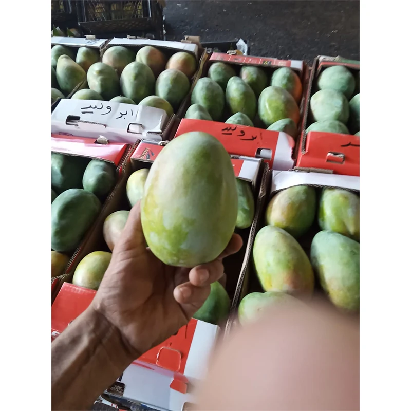 
 100% натуральное вкусное манго, низкая цена, свежие фрукты из манго  