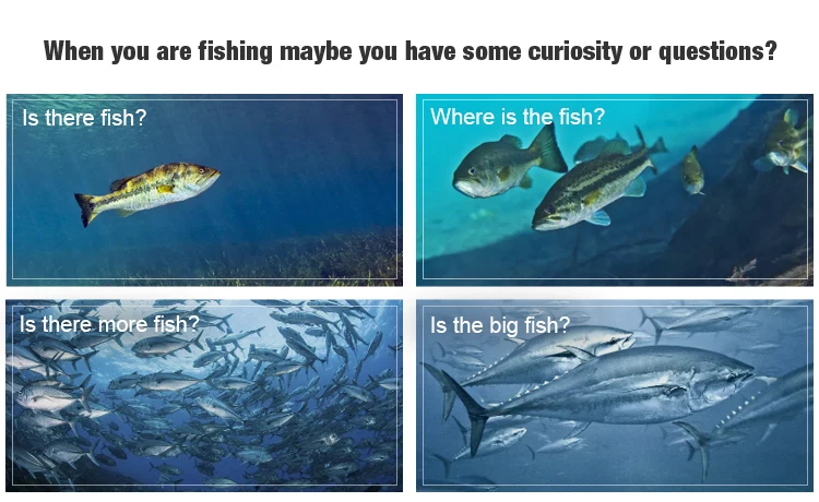 -_01.jpg