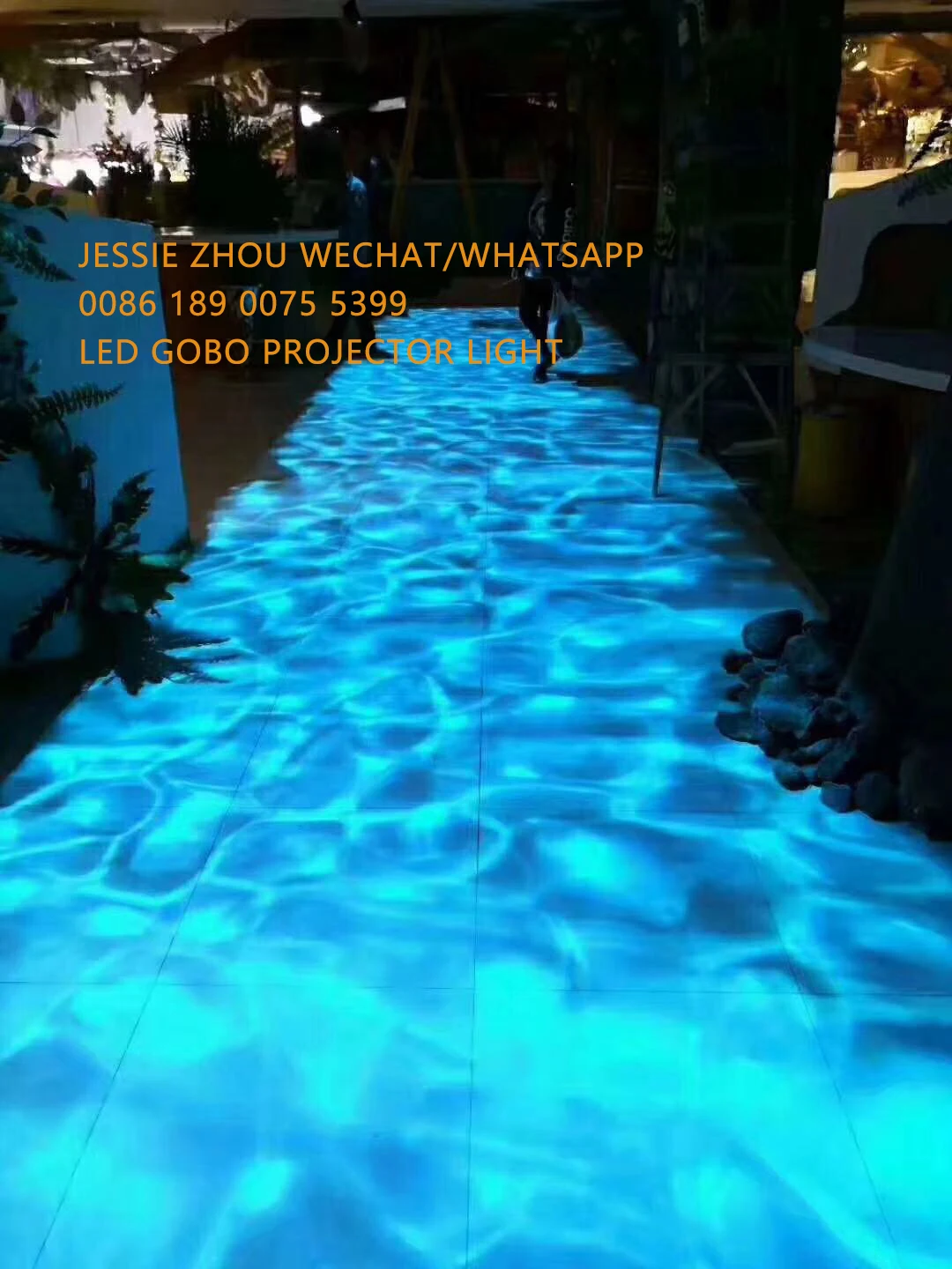 006.jpg