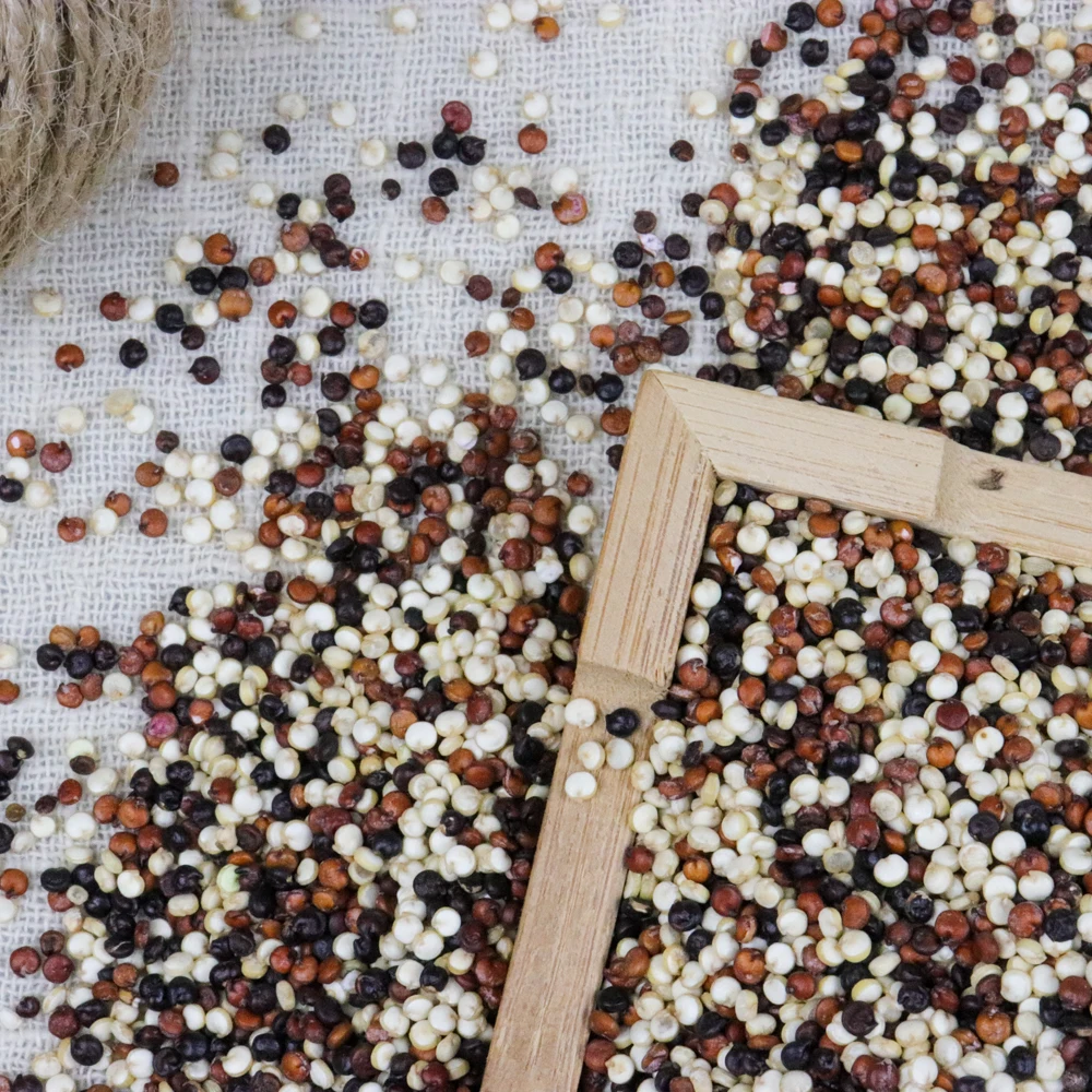 Оптовая продажа, органическое сушеное хиноа quinoa, трехцветное китайское триколор хиноа