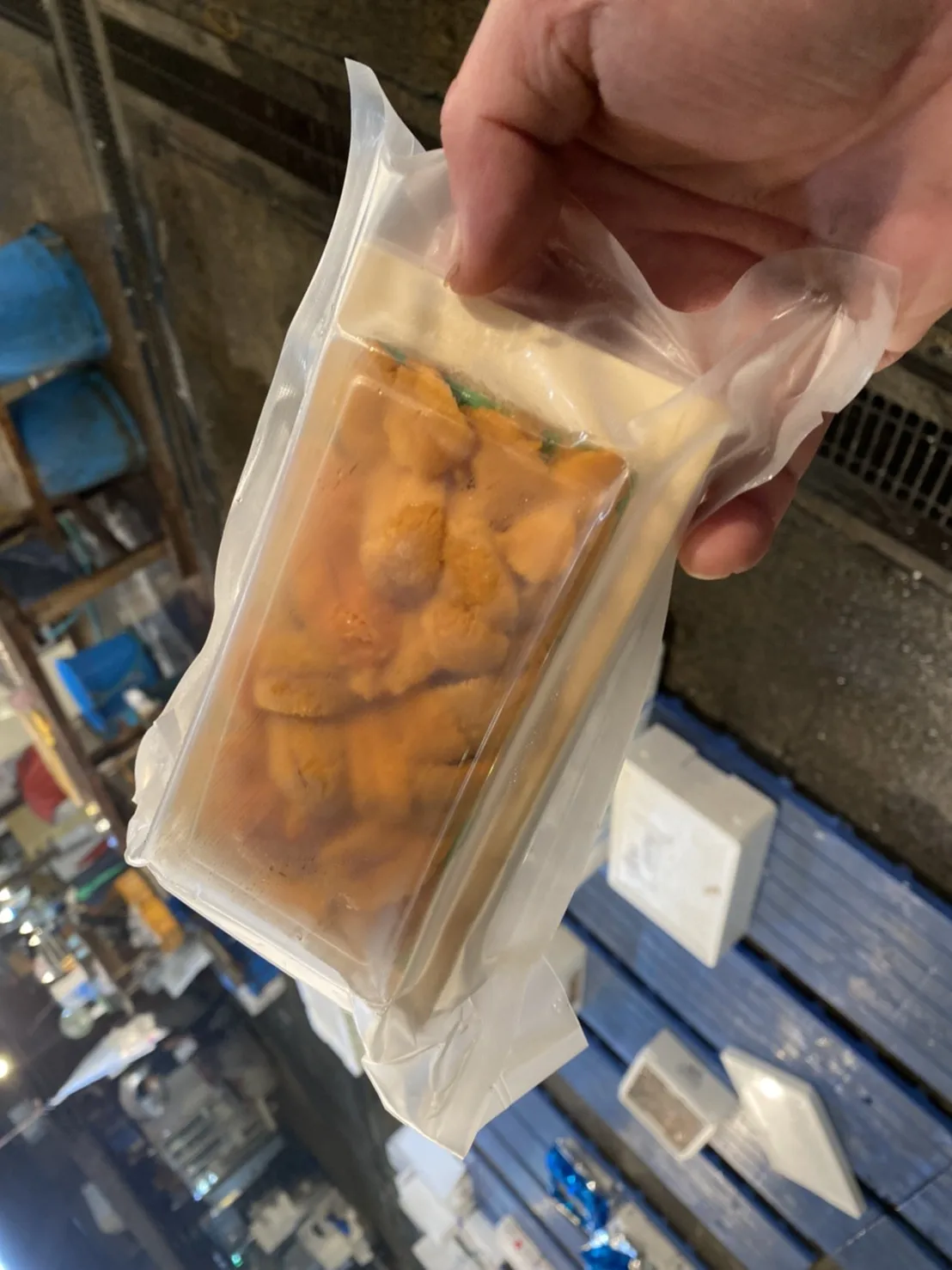 
 Замороженные или охлажденные морские морепродукты от японских поставщиков морепродуктов урчина  