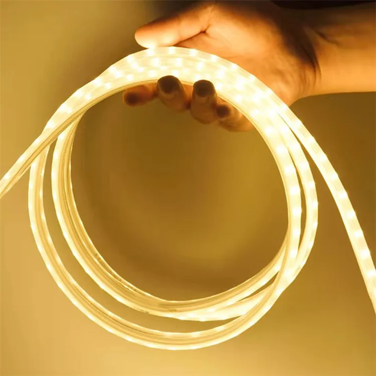 led strip light (20)