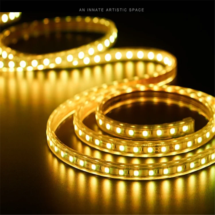 led strip light (24)