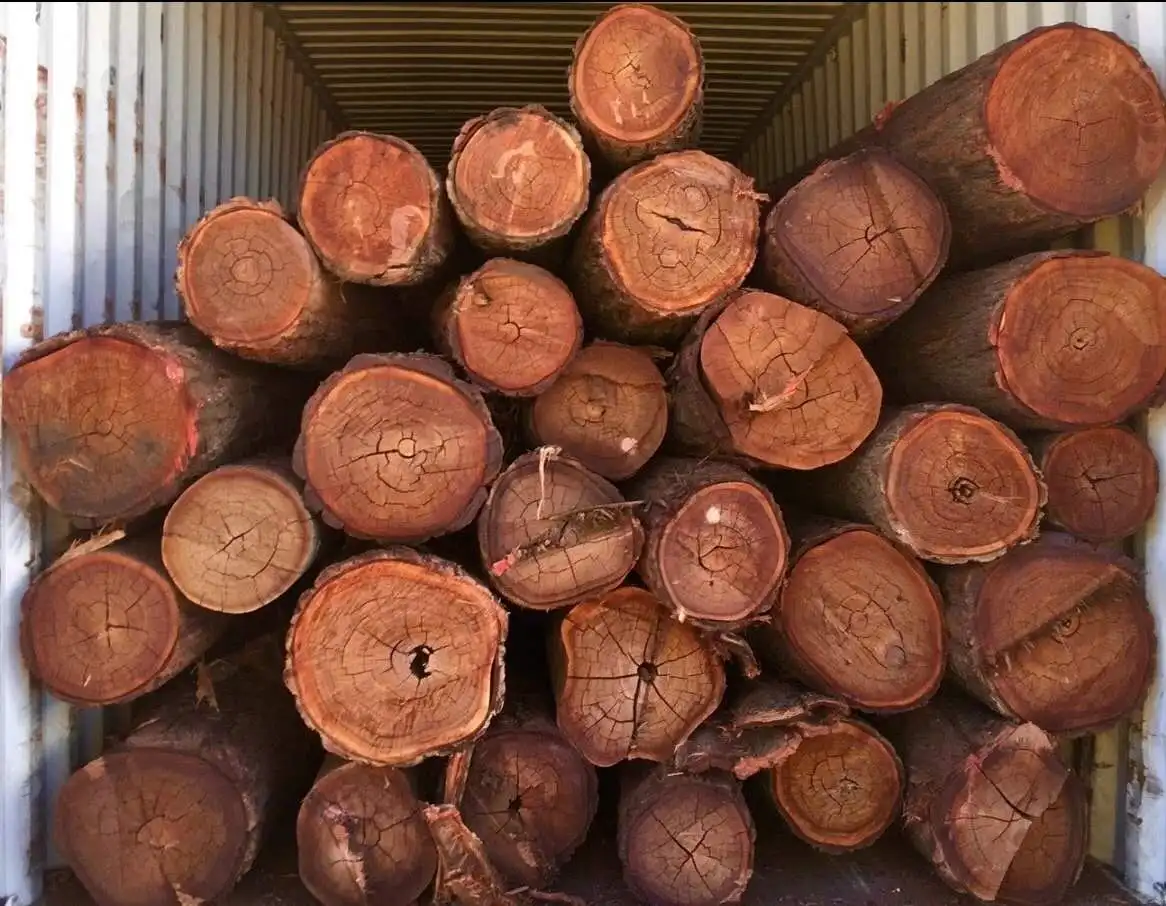 Высококачественная мебель древесина из твердой и тяжелой древесины с текстурой австралийского ланцевого дерева акации Лучшая цена свежая