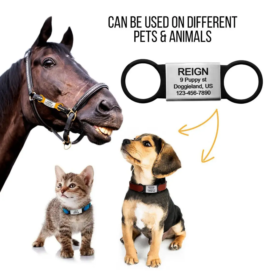 pet tags (6)
