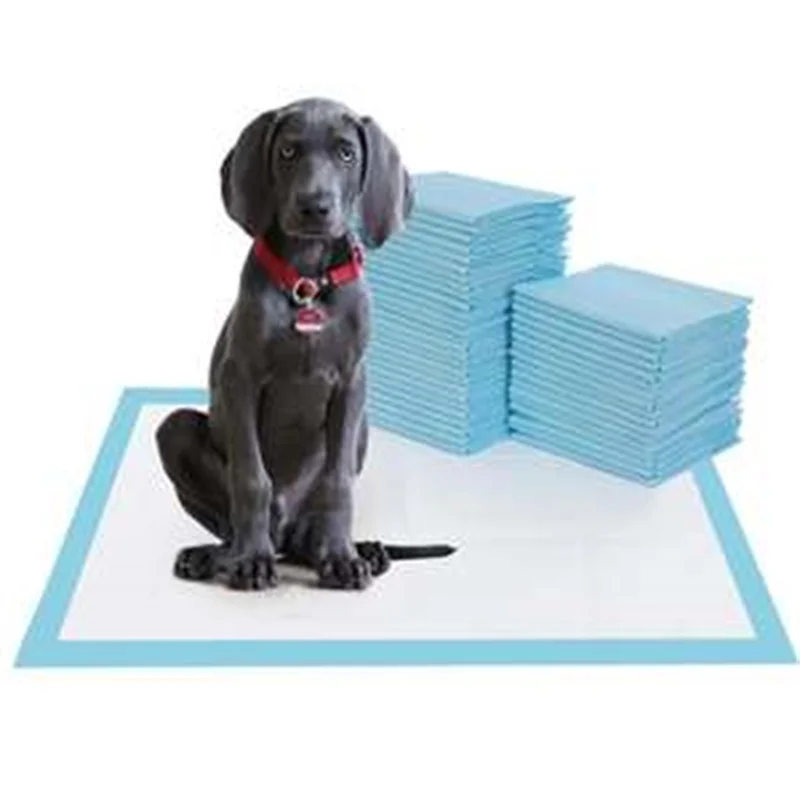 pet pad1 (79).jpg