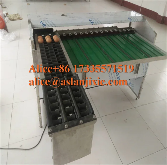 egg grading machine30.png