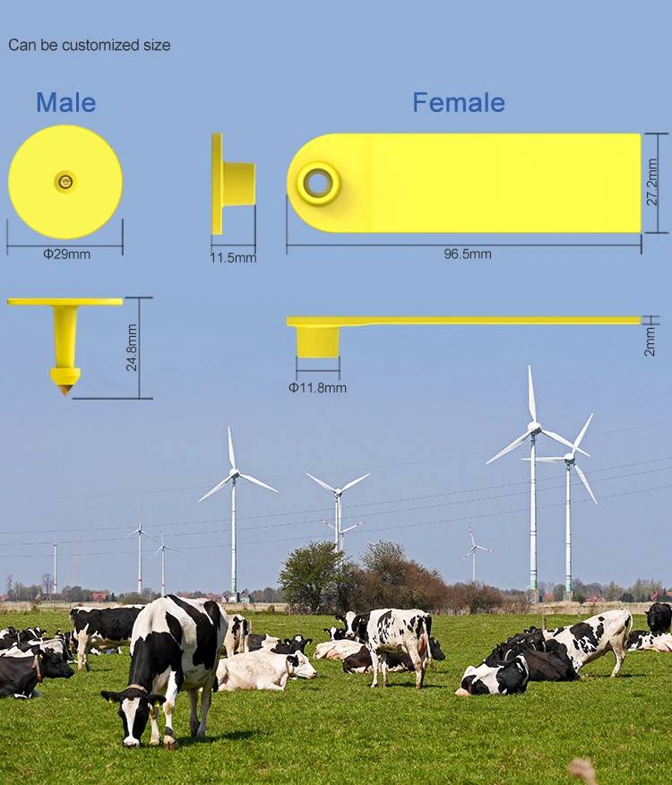 LDR-2796A_04.jpg