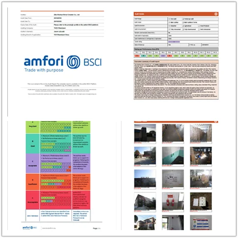 factory inspection report.png