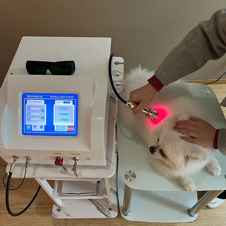 Animal laser VET 750.jpg