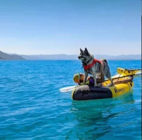 packraft (8)