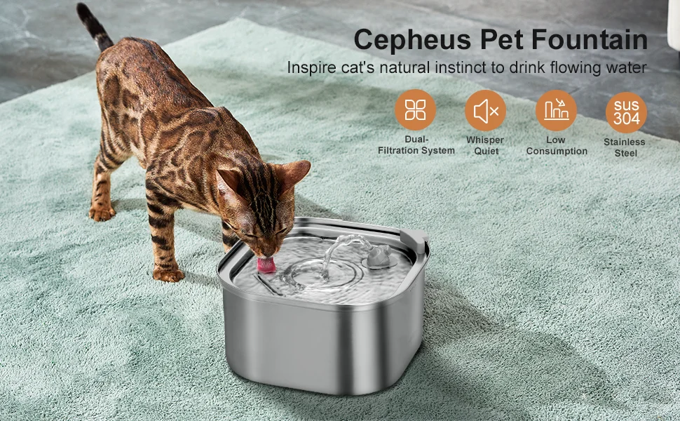 cat water fountain stainless steel