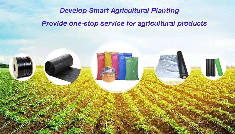 agricultura