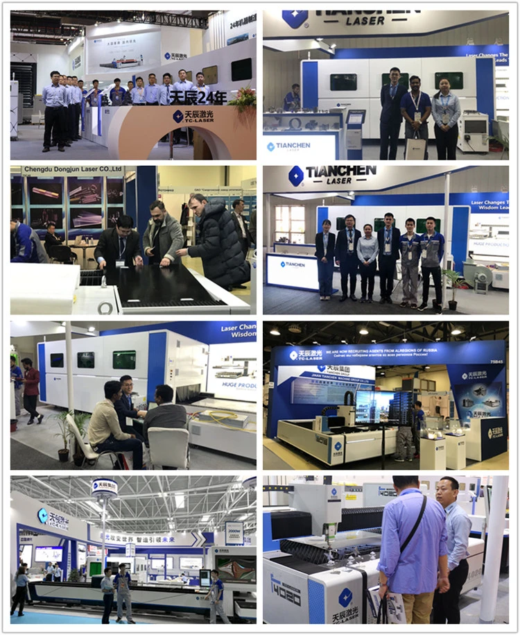 fiber laser exhibition (9)