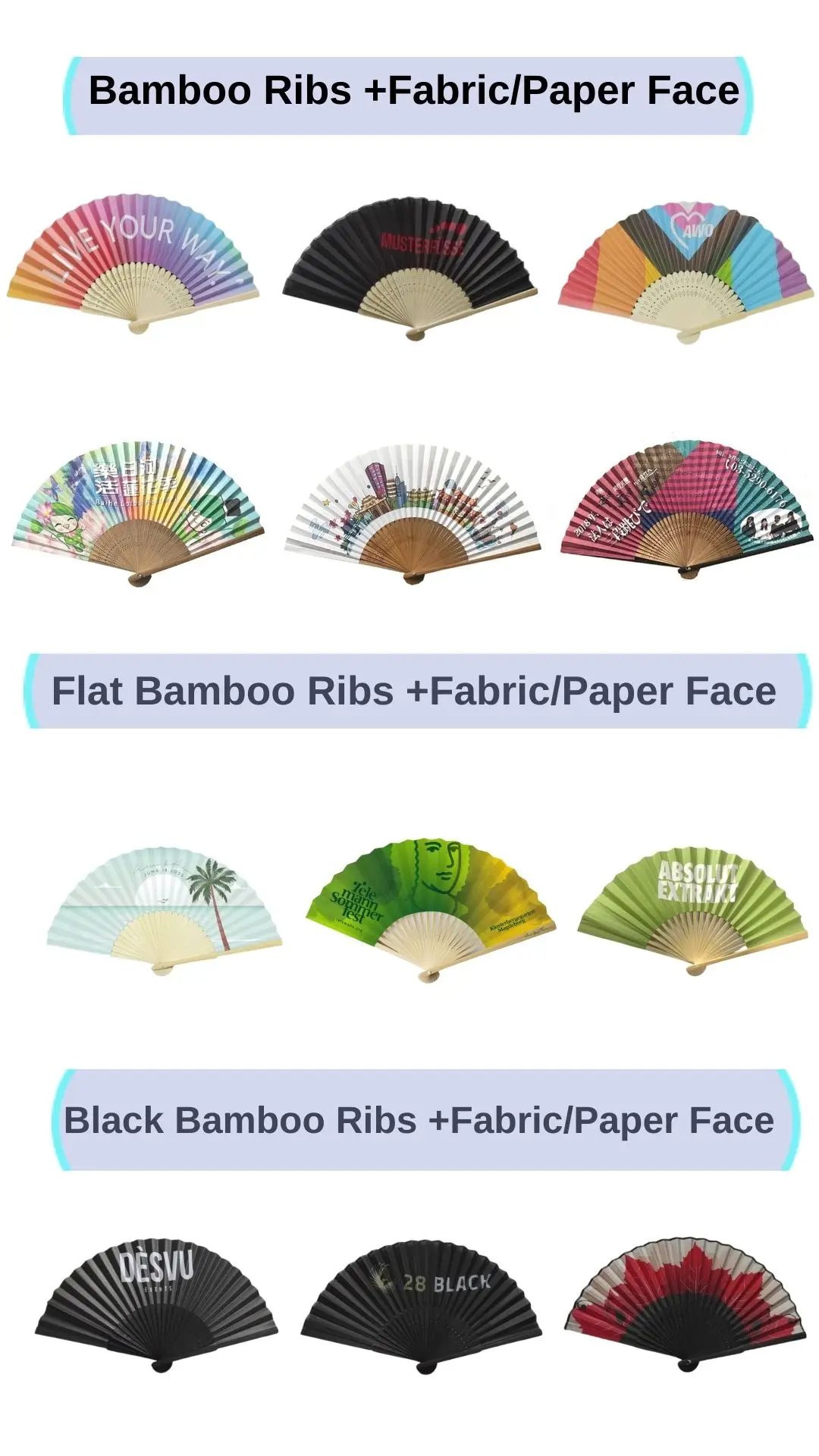Bamboo (2).jpg