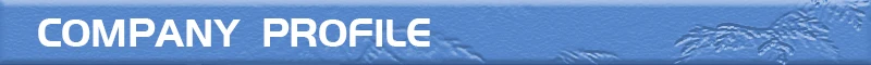COMPANY PROFILE1.jpg
