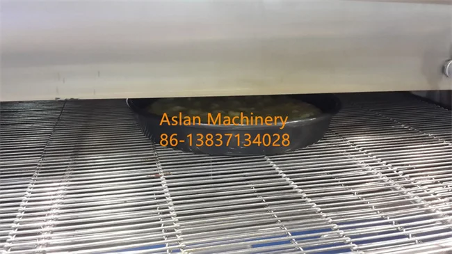 pizza belt oven06