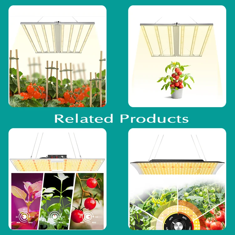 Shenzhen 2021 best commercial led grow light dimmable lights full spectrum uv indoor hydroponic lm301h led grow light