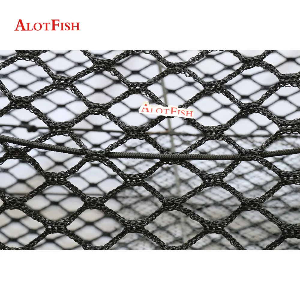 Alotfish-spring-trap14