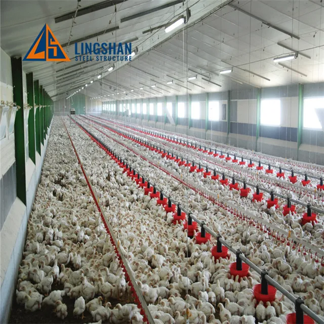 Сборная конструкция куриного домика строительная Ферма для птицеводства стальная Lingshan одноцветная оцинкованная