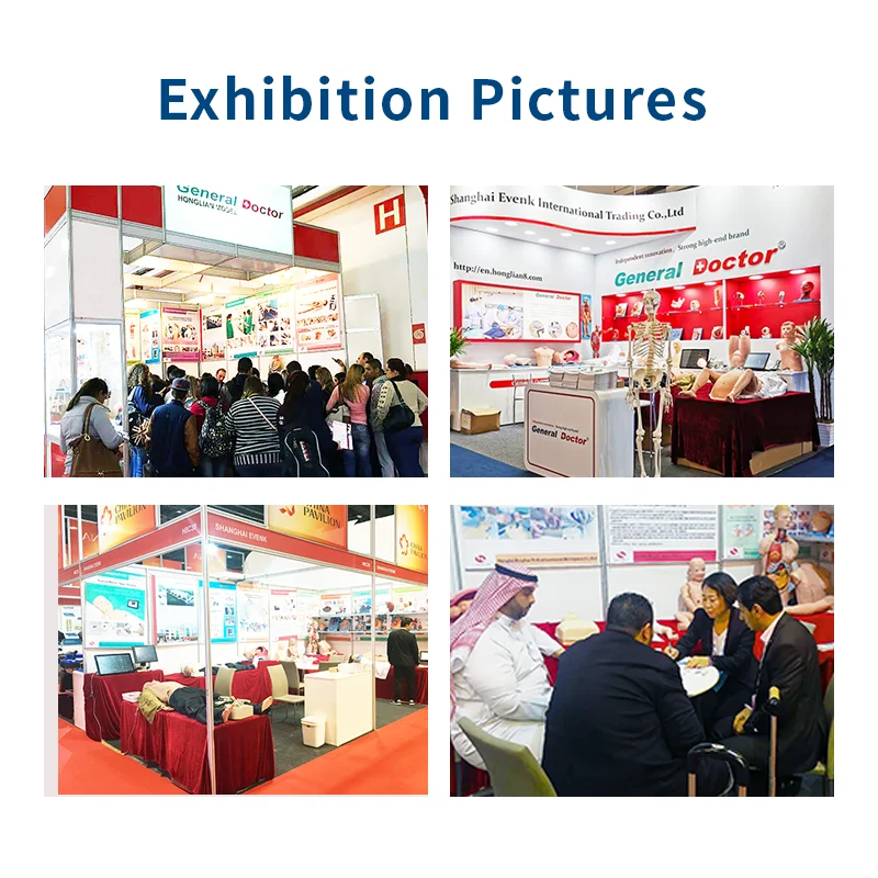 Exhibition Pictures.png