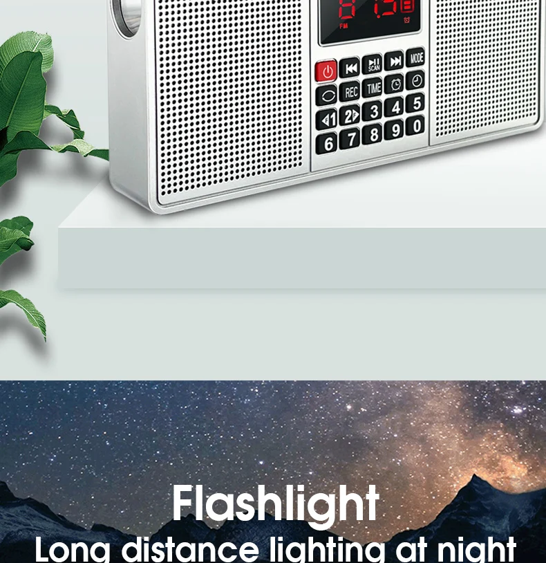 L-528-_08.jpg