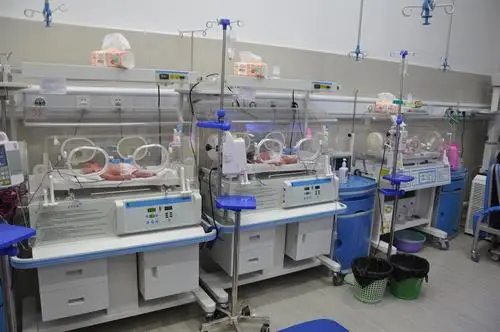 YP100A, инкубатор для новорожденных, инкубатор для новорожденных животных