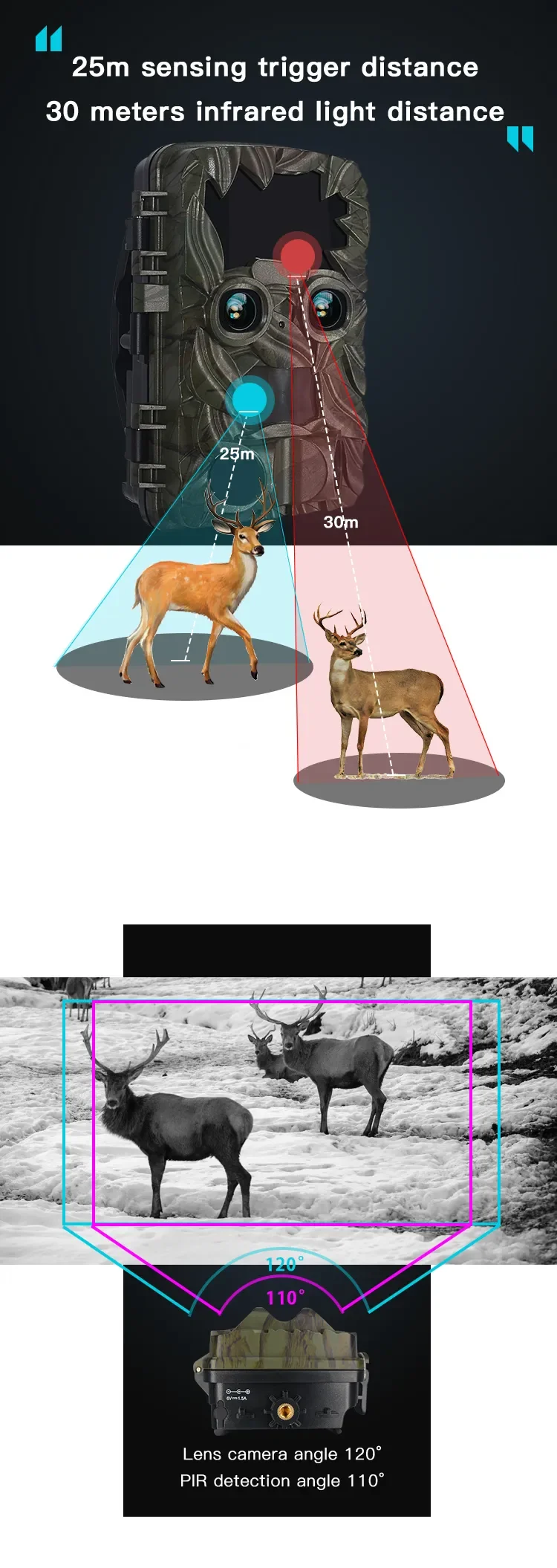 2 (6).png