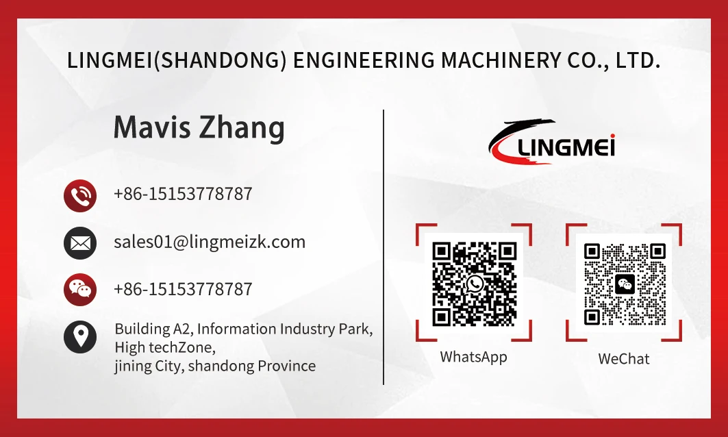 Mavis Zhang.jpg