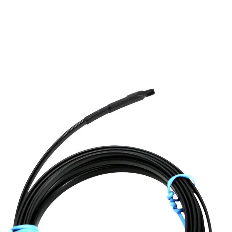 EU Plug 25W/M Heating Cables Self Regulating Pipe Anti-Freeze Protection Roof Gutter De-Icing with 220V Electric Wire