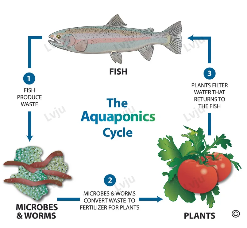 
Аквариумные рыболовные фермы, теплицы, гидропоника, аквариумная система для выращивания рыбы, аквариумные для рыб и овощей 