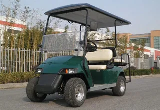 2021 Новый электрический гольф-автомобиль, дешевая электрическая тележка для гольфа для продажи в Европе-комбинация для гольфа/пассажиров и грузов для фермы